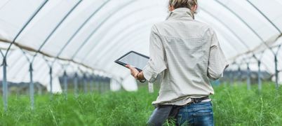 Person working in a polytunnel