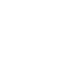 Championing Our Region White