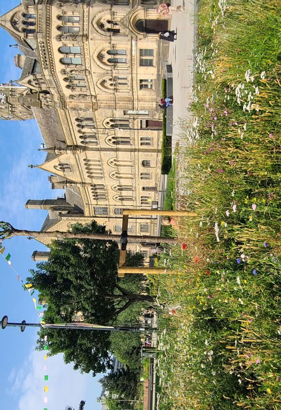 LNRS Case Study Bradford City Park 1