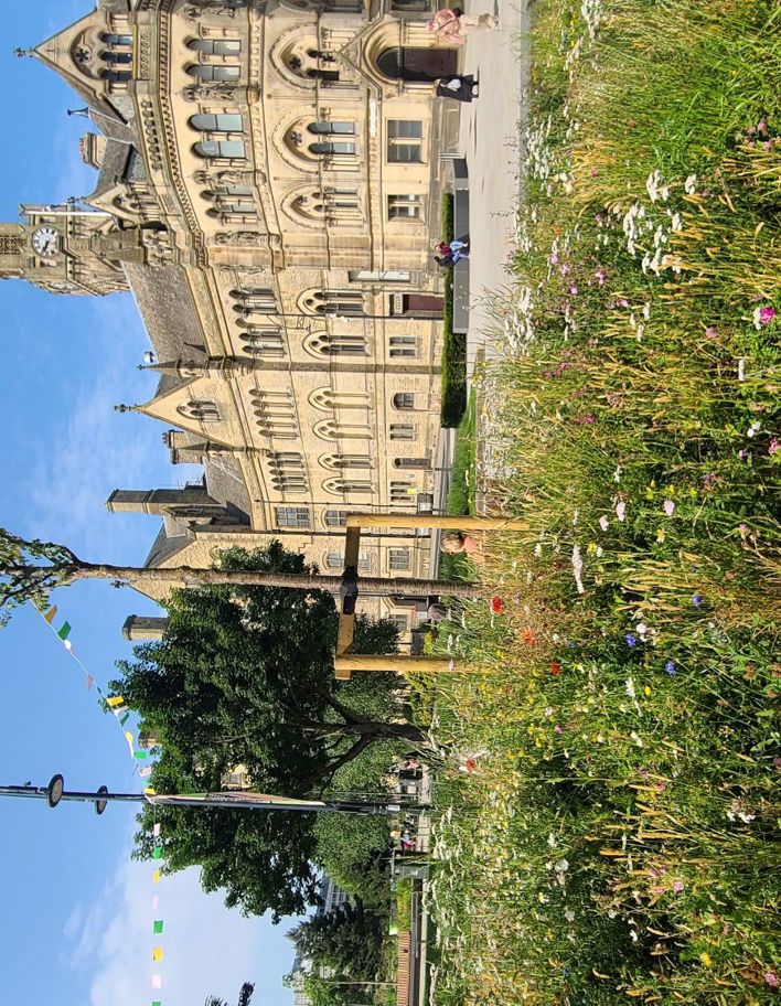 LNRS Case Study Bradford City Park 1