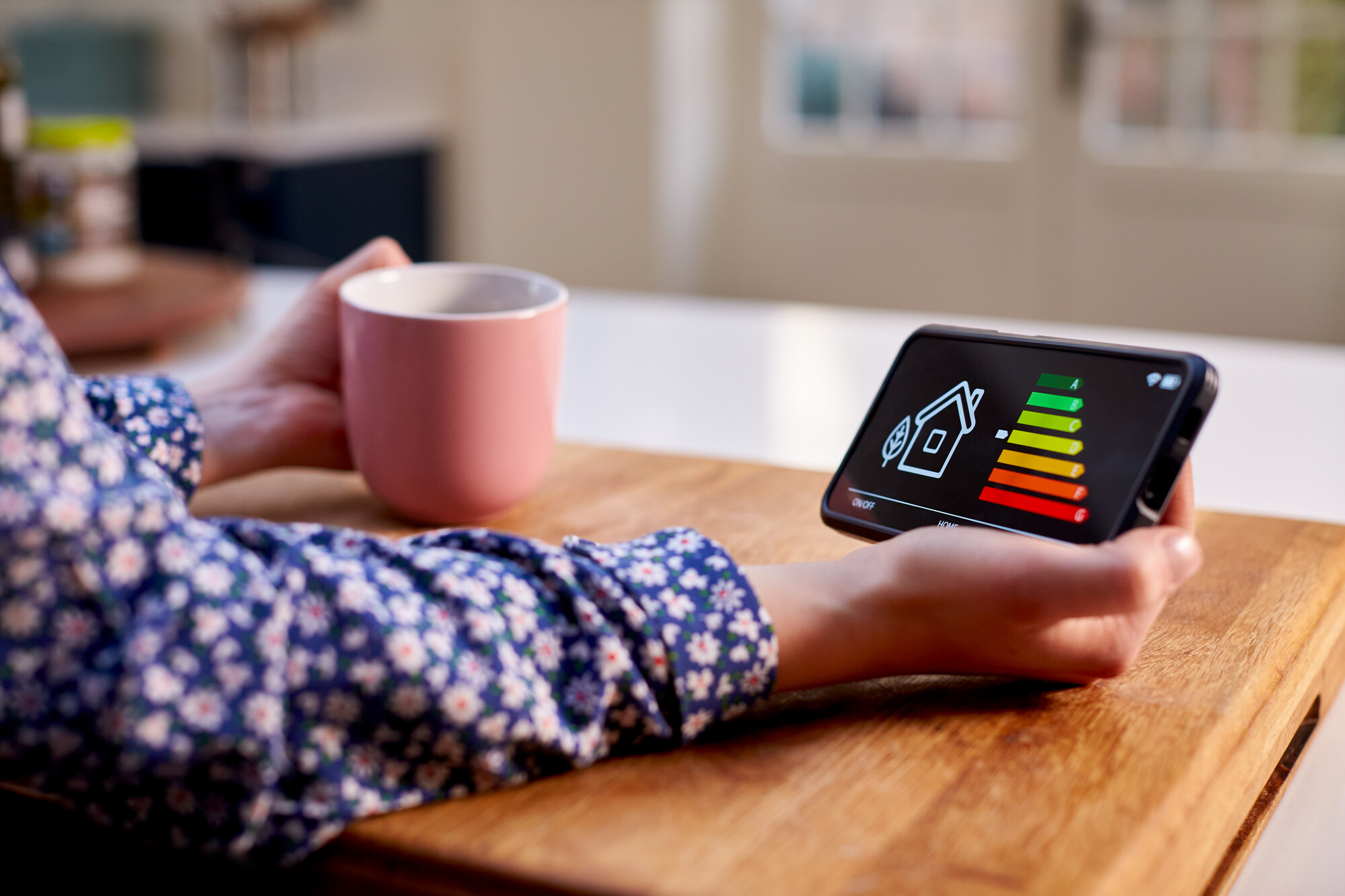 Someone holding a smart meter