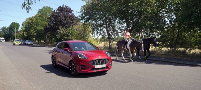 Horse safe pass