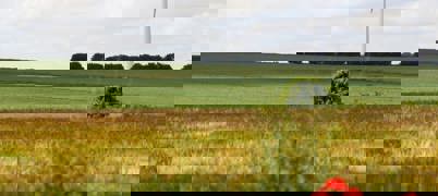 Wind Turbine In A Field