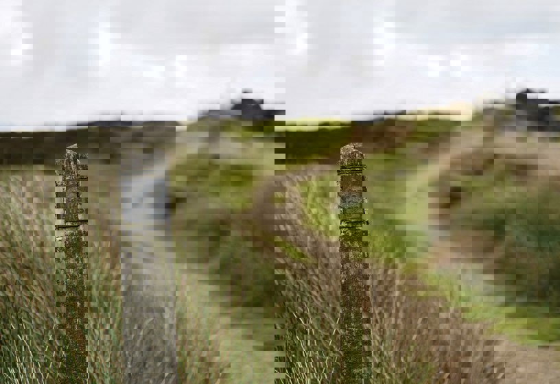 Stanza Stones Path In Ilkey