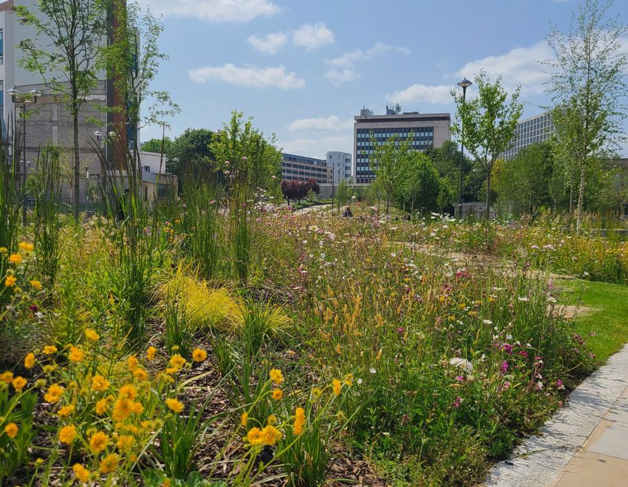 LNRS Case Study Bradford City Park 3