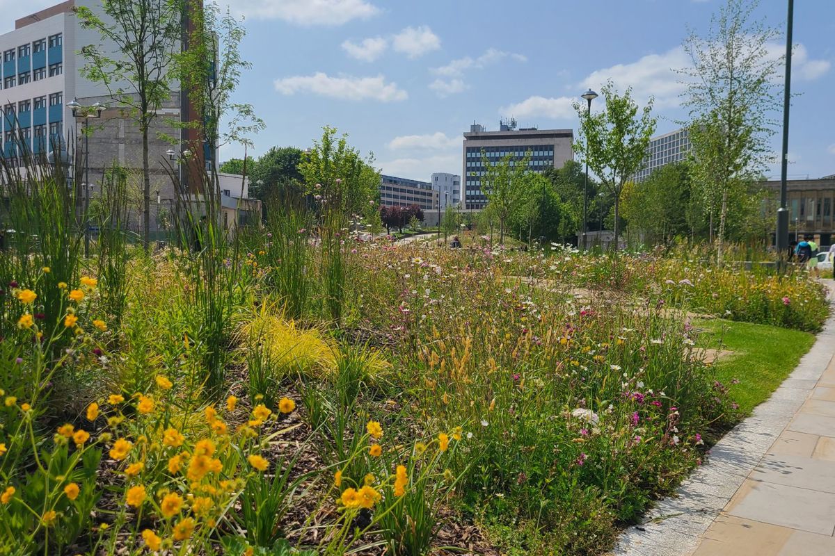 LNRS Case Study Bradford City Park 3