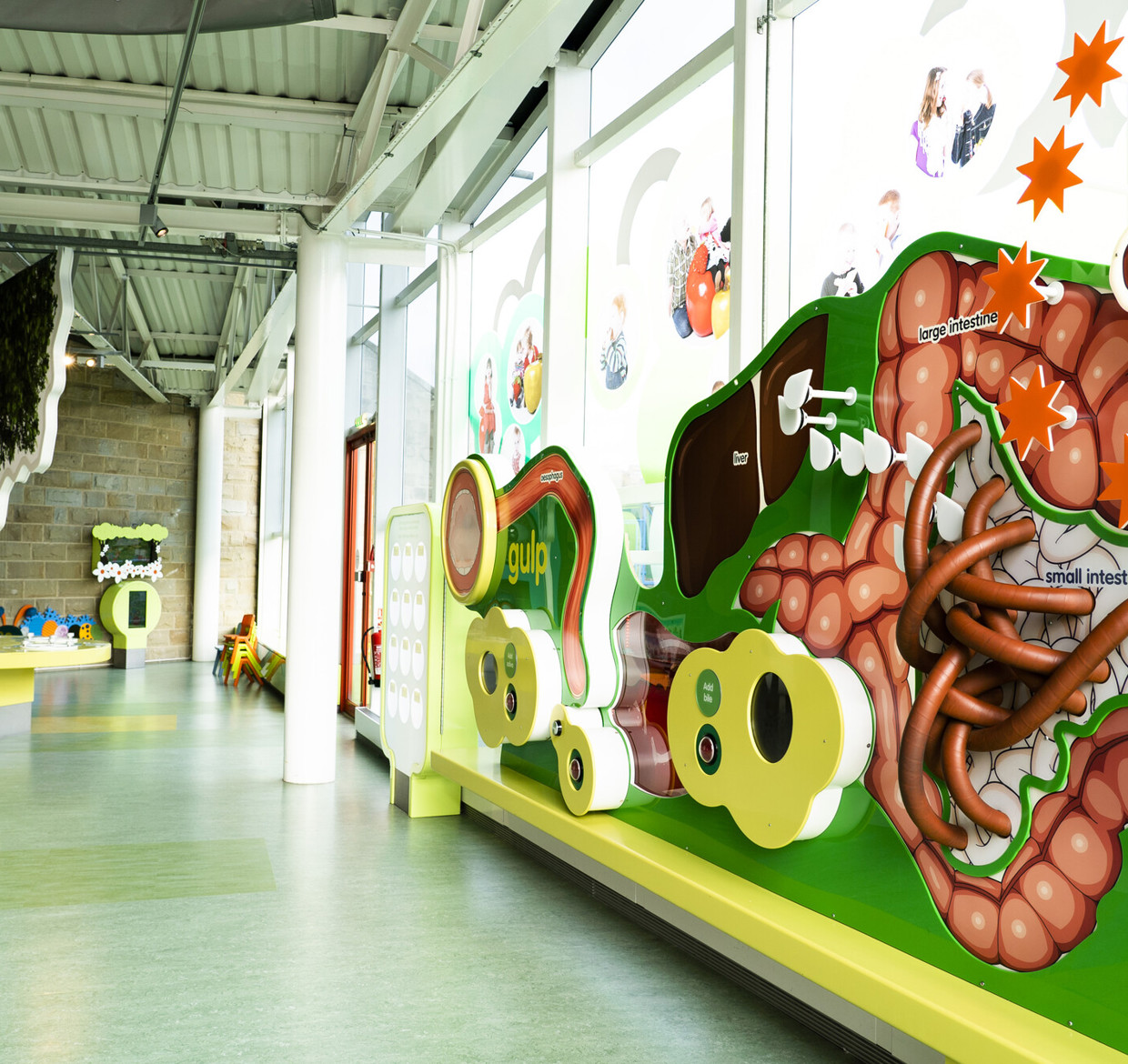 Interactive exhibit of human biology at Eureka, Wakefield