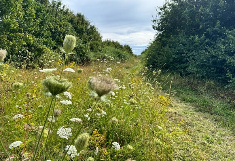 LNRS Case Study Dewsbury Country Park 4
