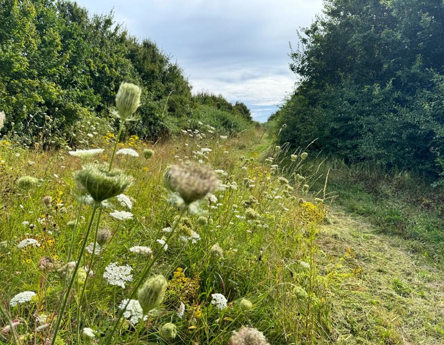 LNRS Case Study Dewsbury Country Park 4