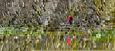 Newmillerdam In Wakefield