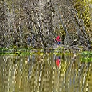 Newmillerdam In Wakefield
