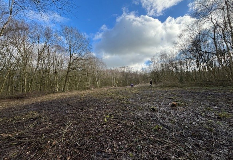 LNRS Case Study Wakefield Seckar Wet Heath After Cutting Feb 2024