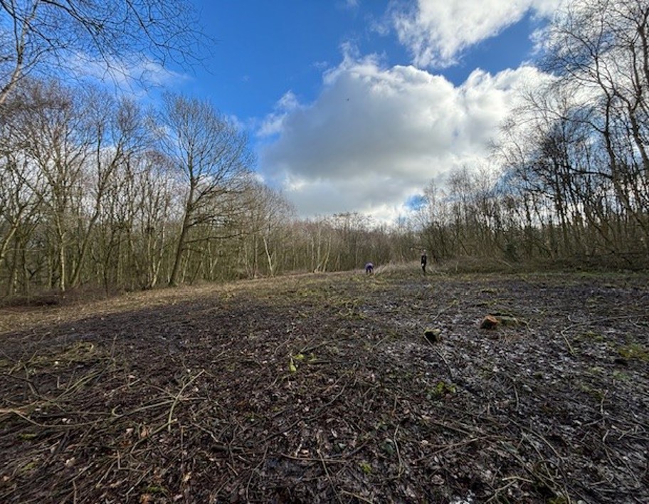 LNRS Case Study Wakefield Seckar Wet Heath After Cutting Feb 2024
