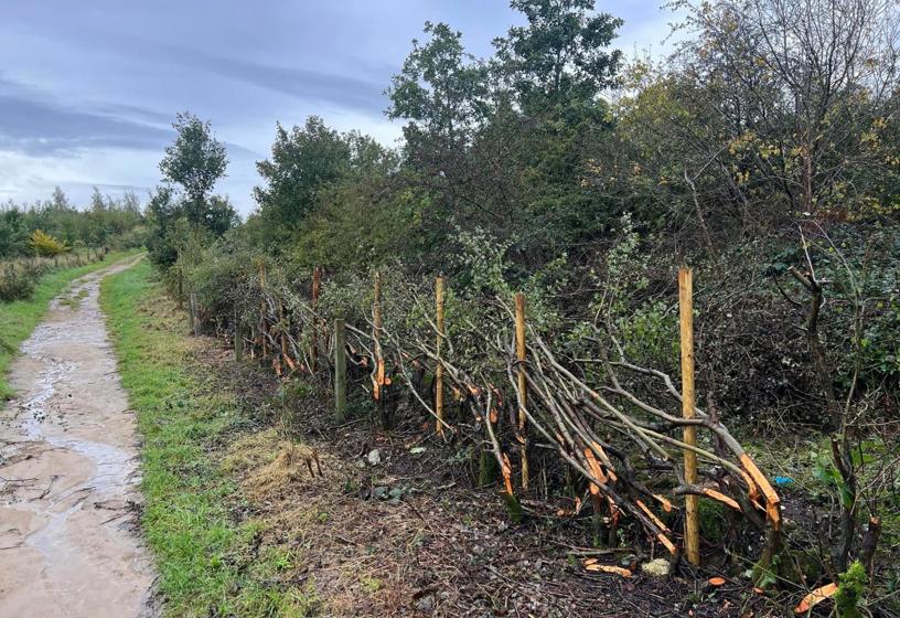 LNRS Case Study Dewsbury Country Park 3