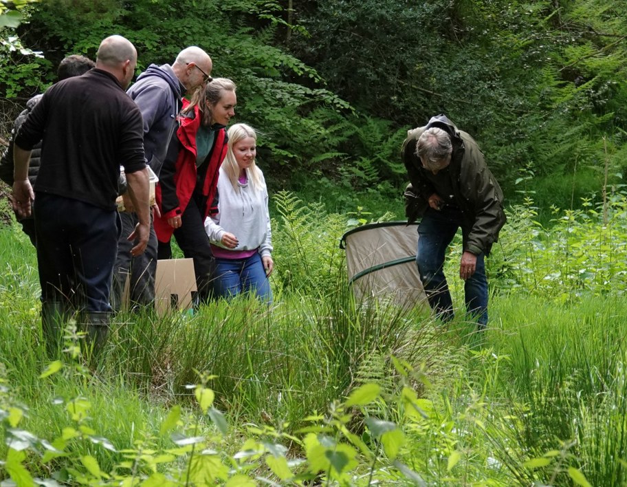 LNRS Case Study Kirklees Water Voles 3