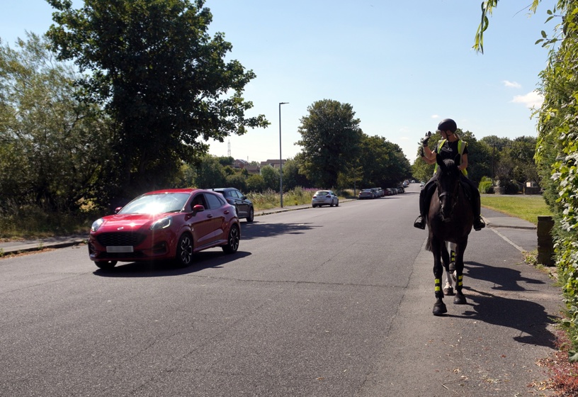 Horse safe pass
