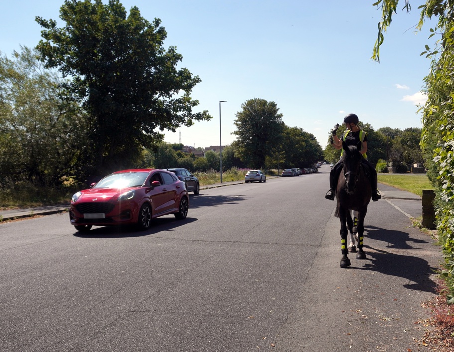 Horse safe pass
