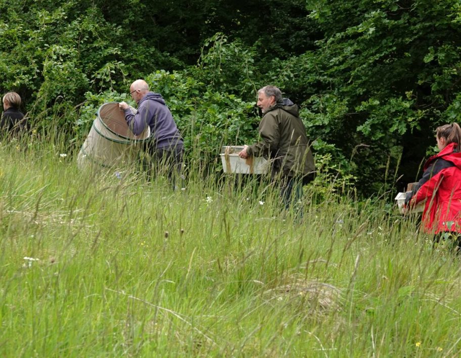 LNRS Case Study Kirklees Water Voles 1
