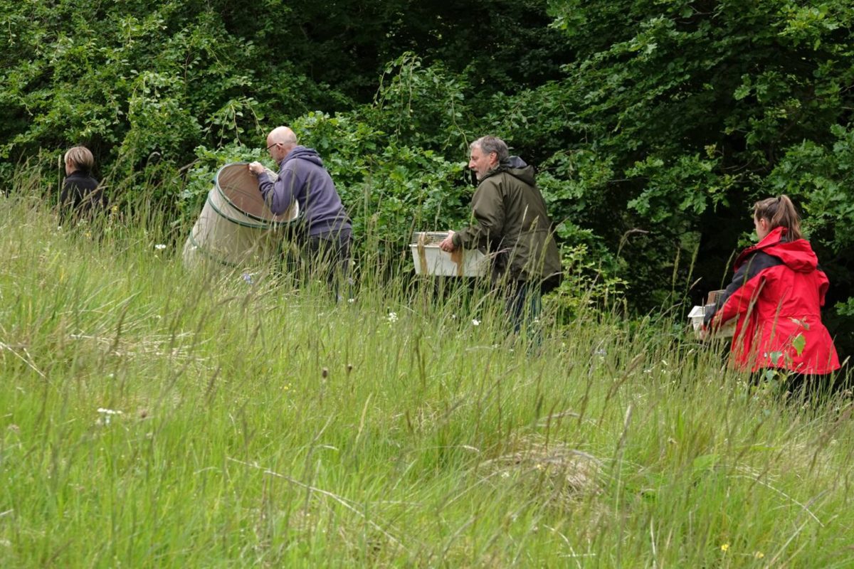 LNRS Case Study Kirklees Water Voles 1