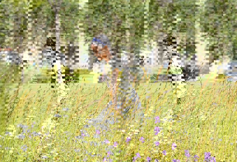Girl walking beside wildflowers in garden in Bradford