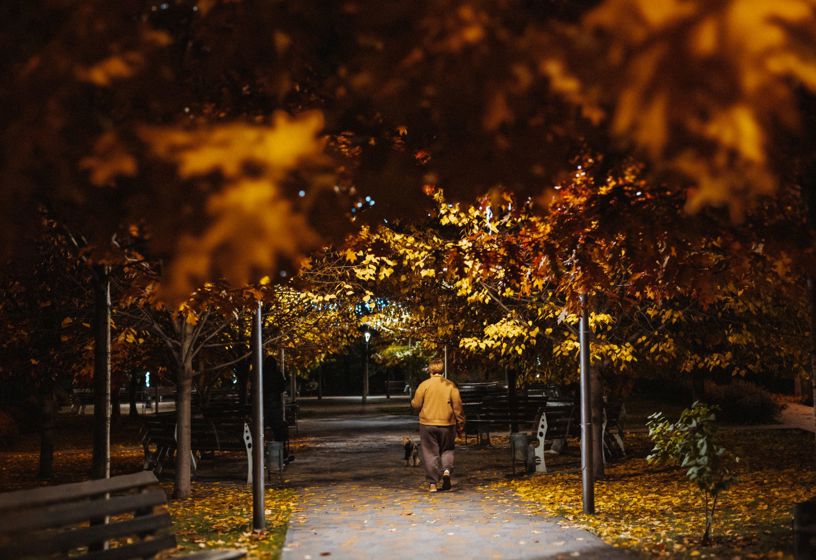 A woman walking her dog through a park at night