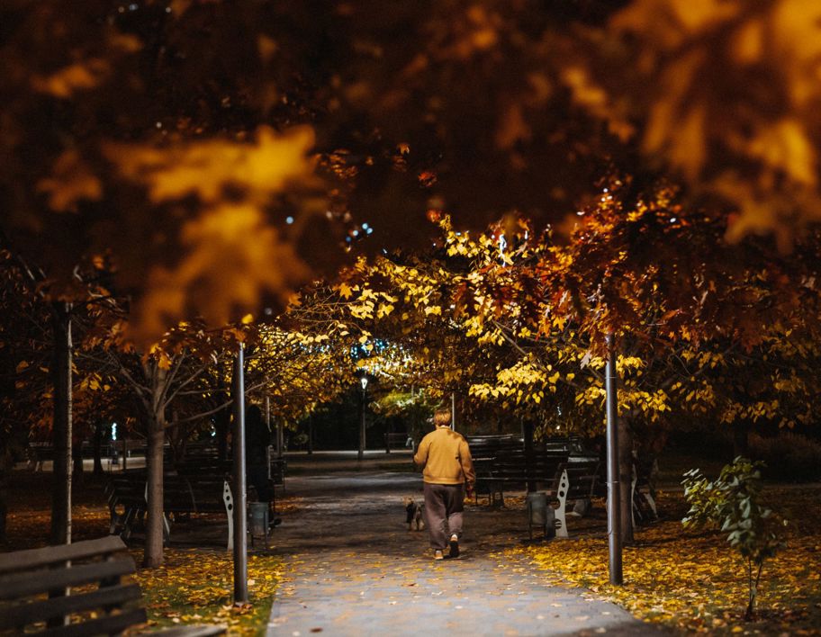 A woman walking her dog through a park at night
